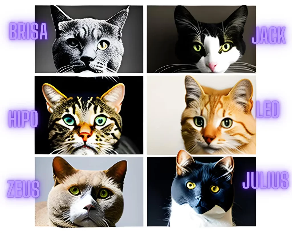 gatos-grises