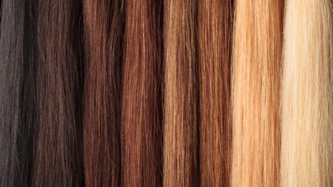 nombres de color de pelo